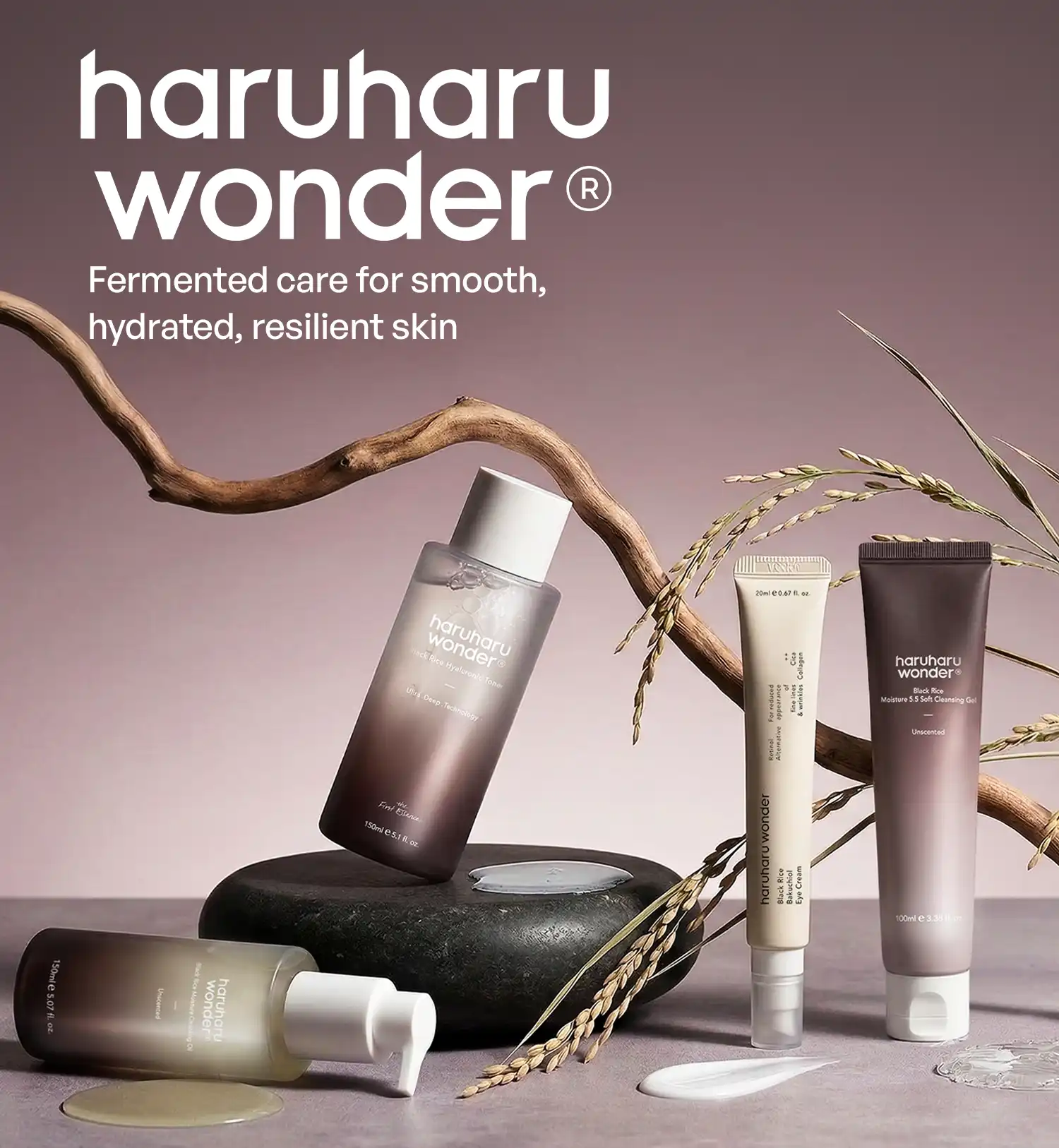 Haruharu WONDER Brand Spotlight
