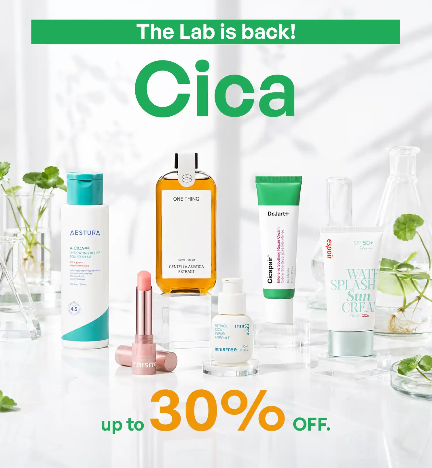The Lab Cica