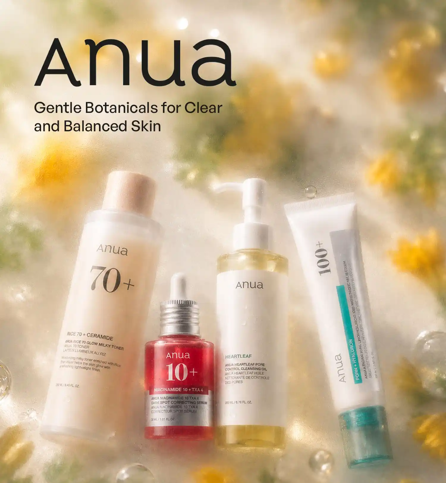 Anua Brand Spotlight