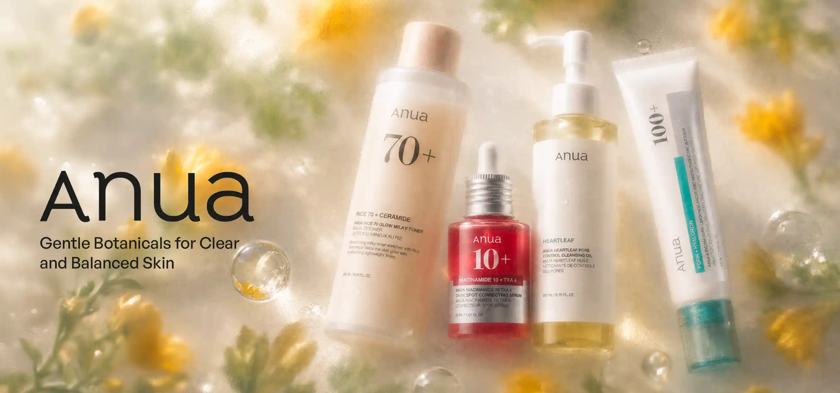 Anua Brand Spotlight