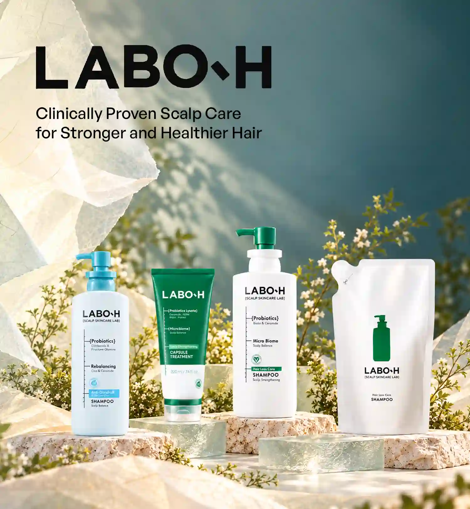 LABO-H Brand Spotlight